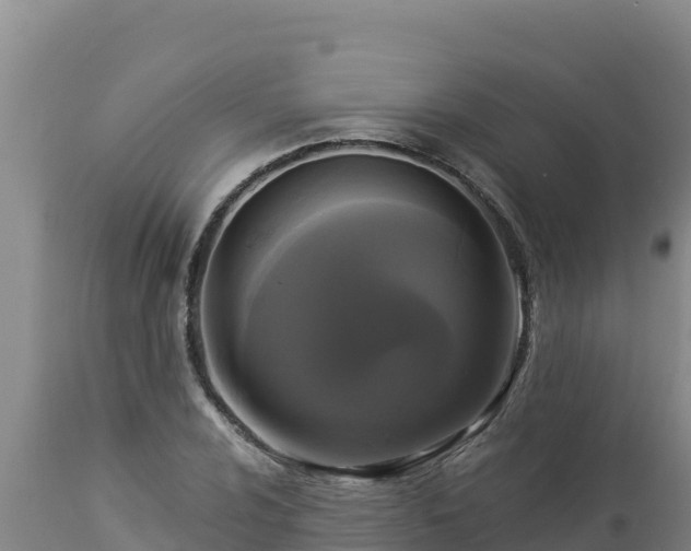 X0000112821024200908281526