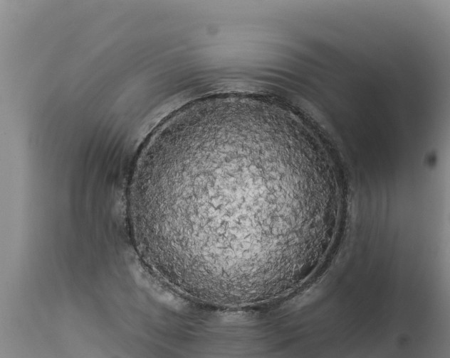 X0000112821025200908281526