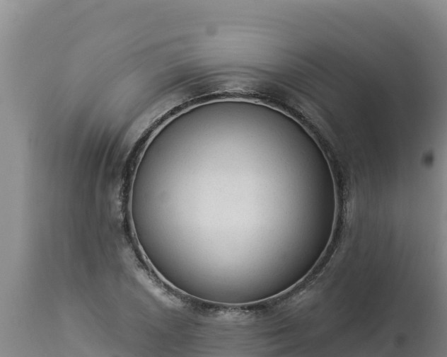 X0000112821026200908281526