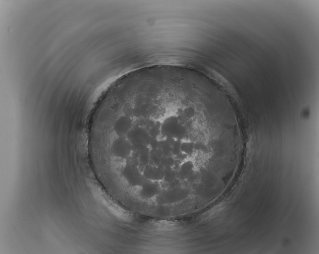 X0000112821027200908281526