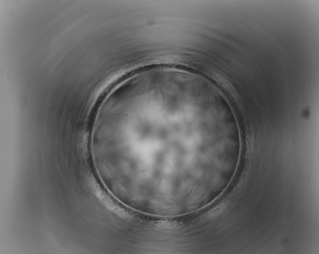 X0000112821029200908281526