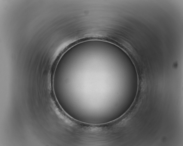 X0000112821030200908281526