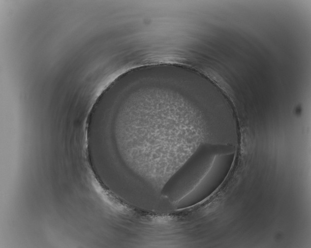 X0000112821031200908281526