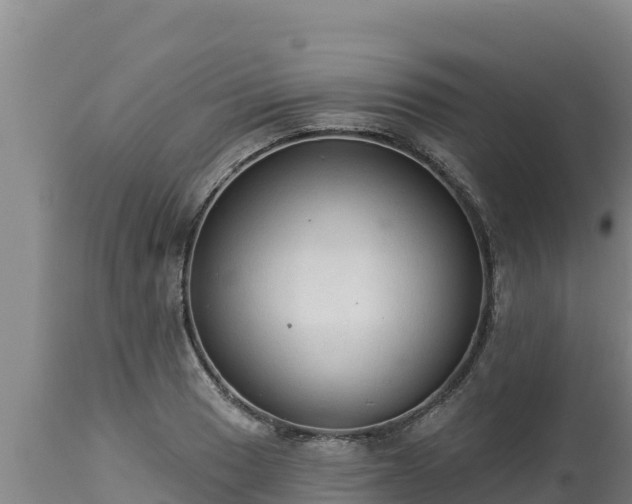 X0000112821033200908281526