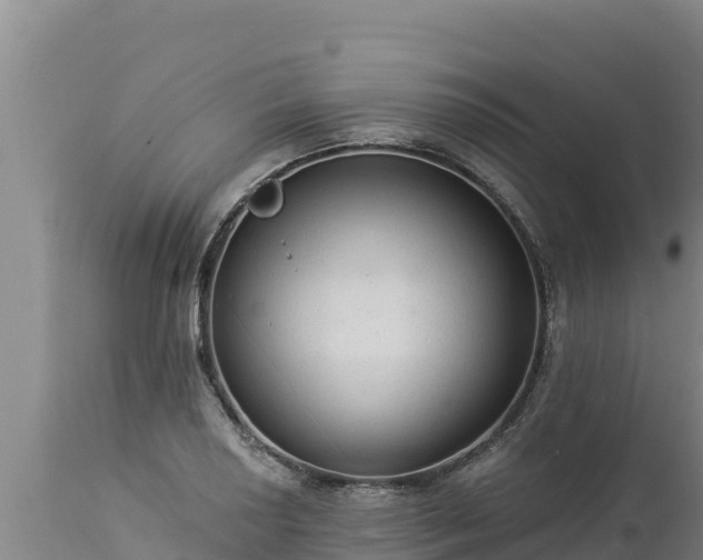 X0000112821034200908281526