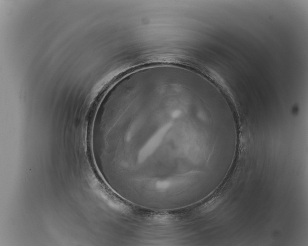 X0000112821035200908281526