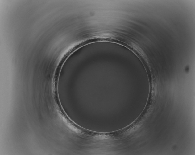 X0000112821037200908281526