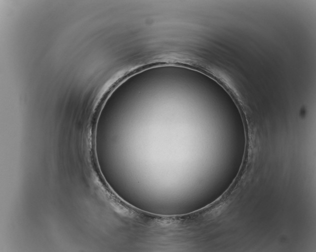 X0000112821040200908281526