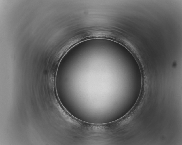 X0000112821041200908281526