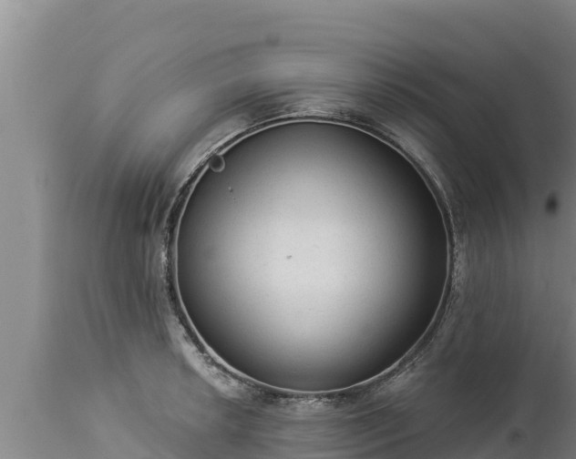 X0000112821042200908281526