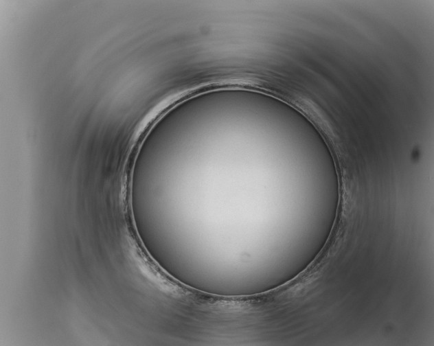 X0000112821044200908281526