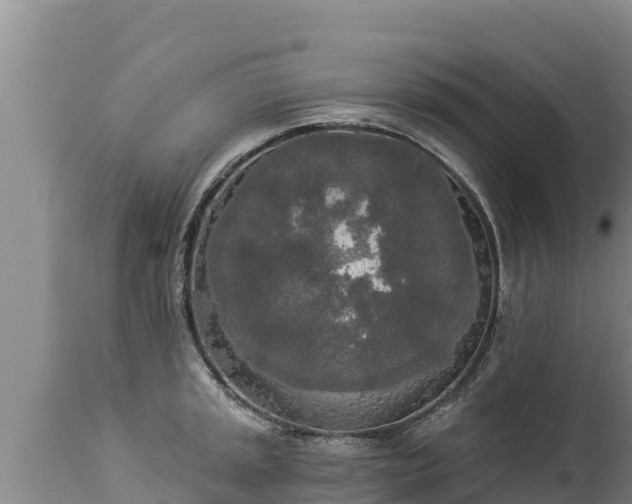 X0000112821045200908281526