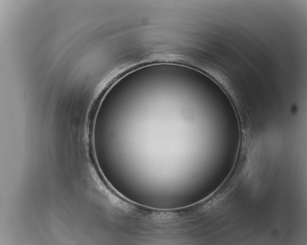 X0000112821046200908281526
