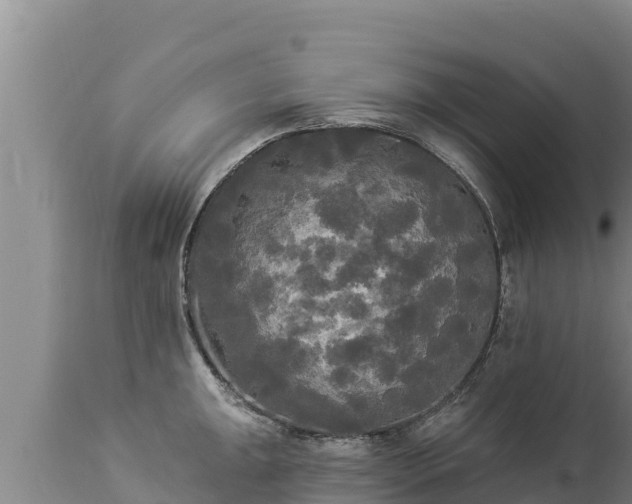 X0000112821047200908281526