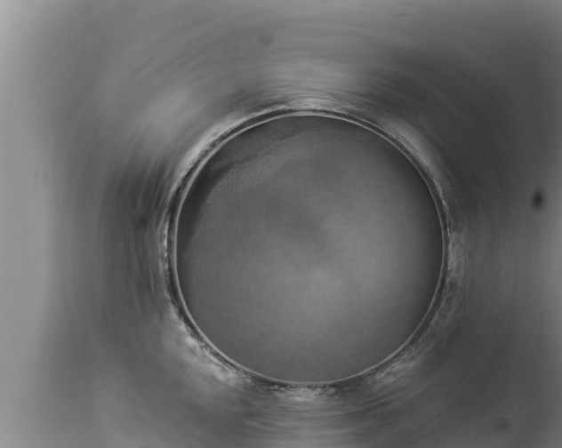 X0000112821048200908281526