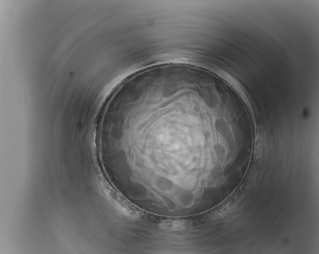 X0000112821051200908281526