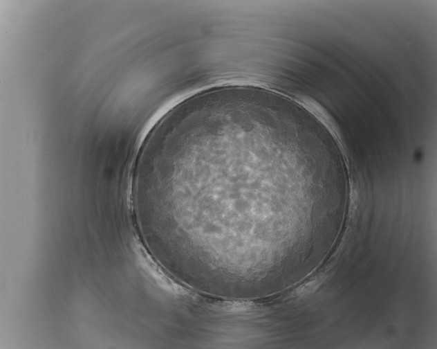 X0000112821052200908281526