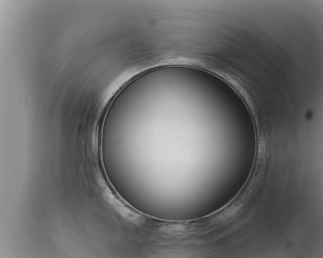 X0000112821054200908281526