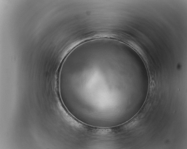 X0000112821055200908281526