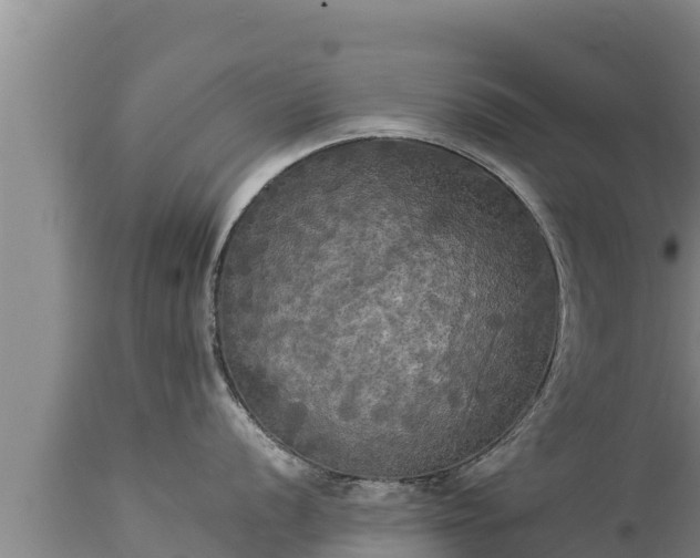 X0000112821056200908281526