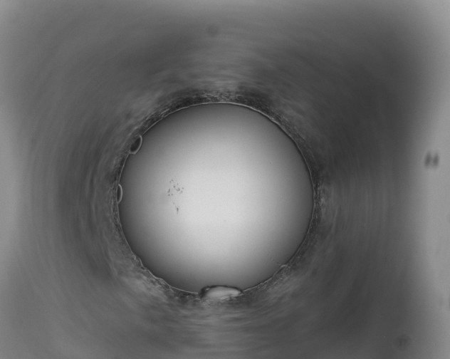 X0000112821057200908281526