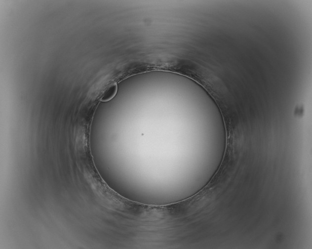 X0000112821058200908281526