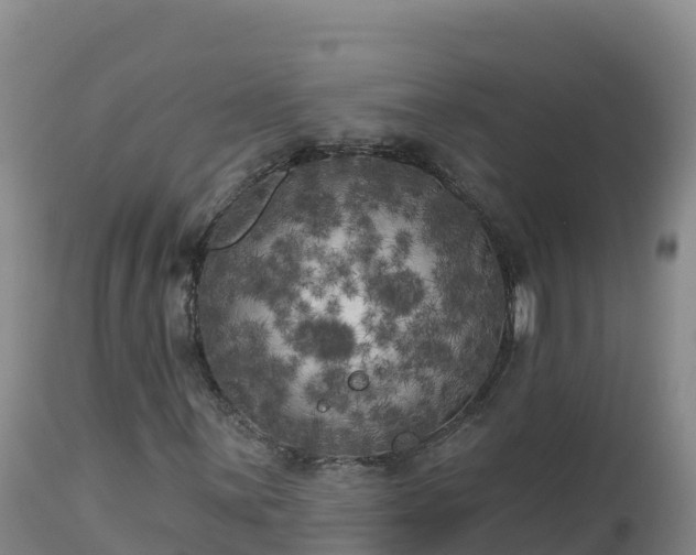 X0000112821059200908281526