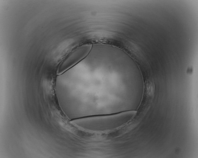 X0000112821060200908281526