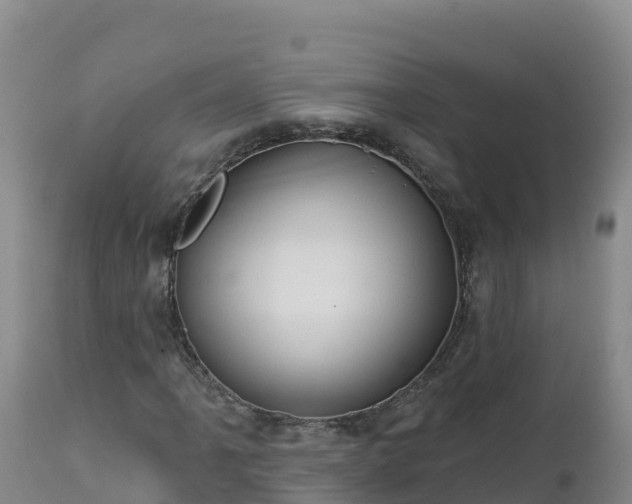 X0000112821061200908281526