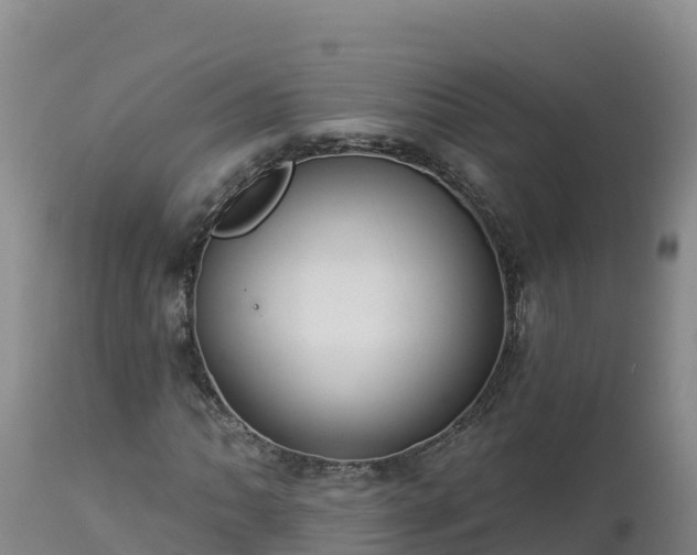 X0000112821062200908281526