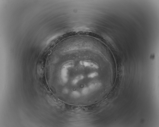 X0000112821063200908281525