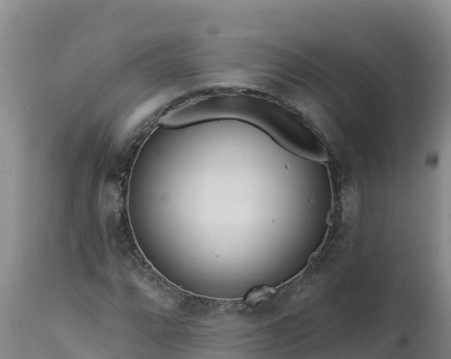 X0000112821064200908281525