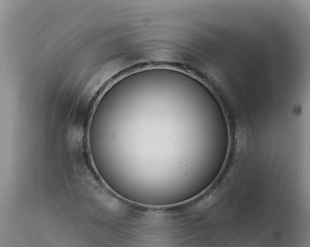 X0000112821065200908281525