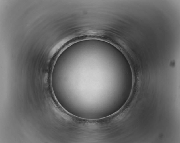 X0000112821066200908281525