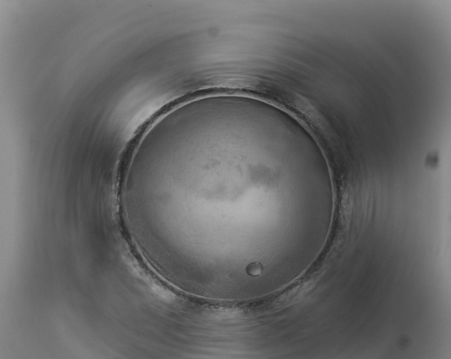 X0000112821071200908281525