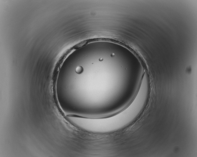 X0000112821072200908281525