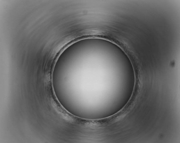 X0000112821073200908281525