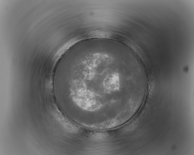 X0000112821074200908281525