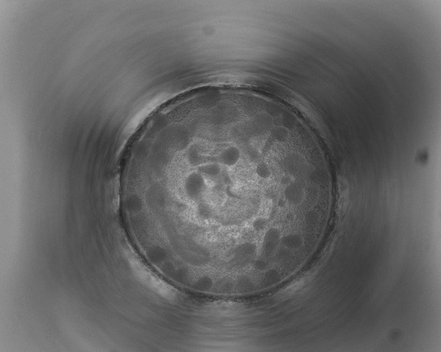 X0000112821075200908281525