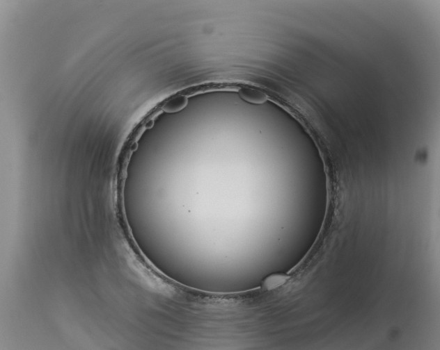 X0000112821076200908281525