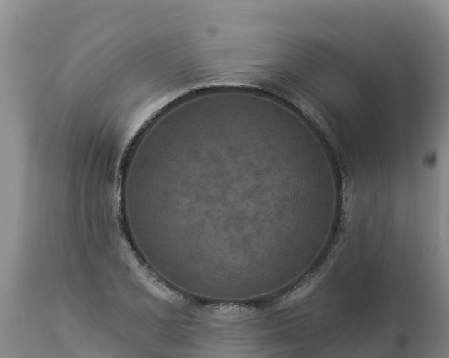 X0000112821077200908281525
