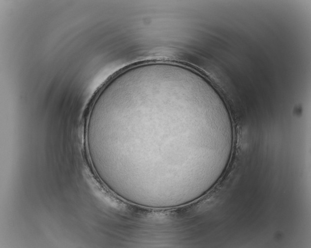 X0000112821078200908281525