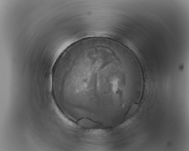 X0000112821079200908281525