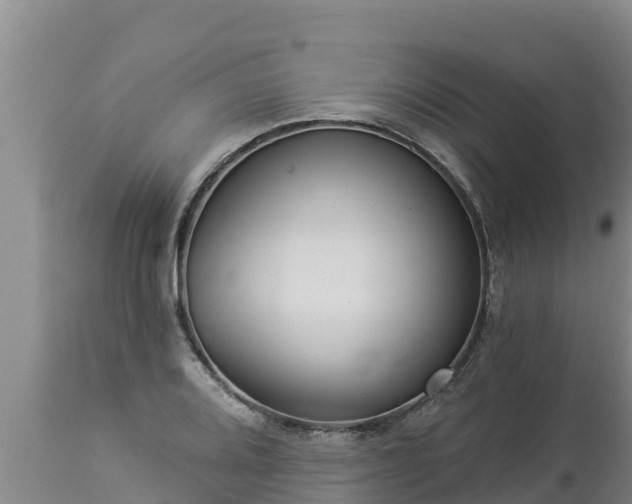X0000112821080200908281525