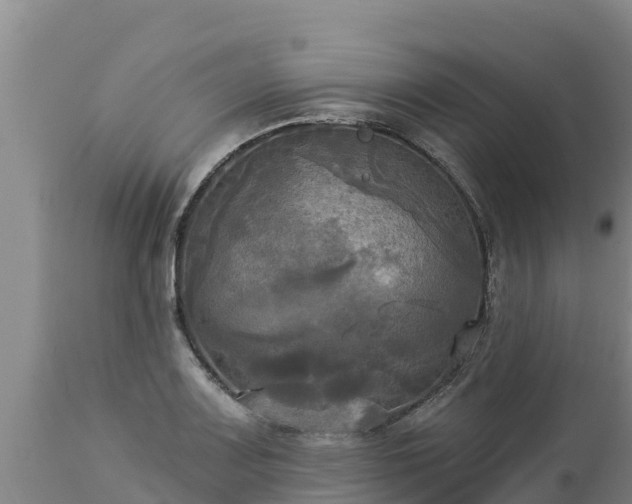 X0000112821083200908281525