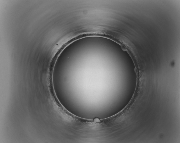 X0000112821085200908281525