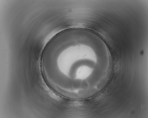 X0000112821086200908281525