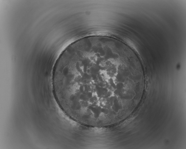 X0000112821087200908281525