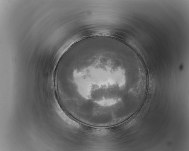 X0000112821090200908281525