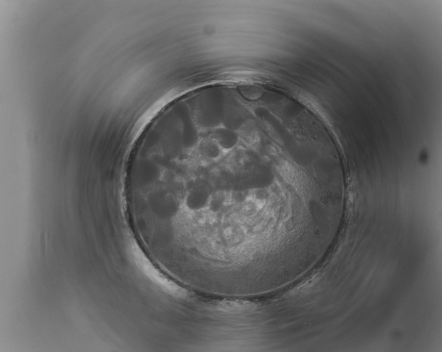 X0000112821091200908281525